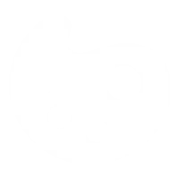 Customization