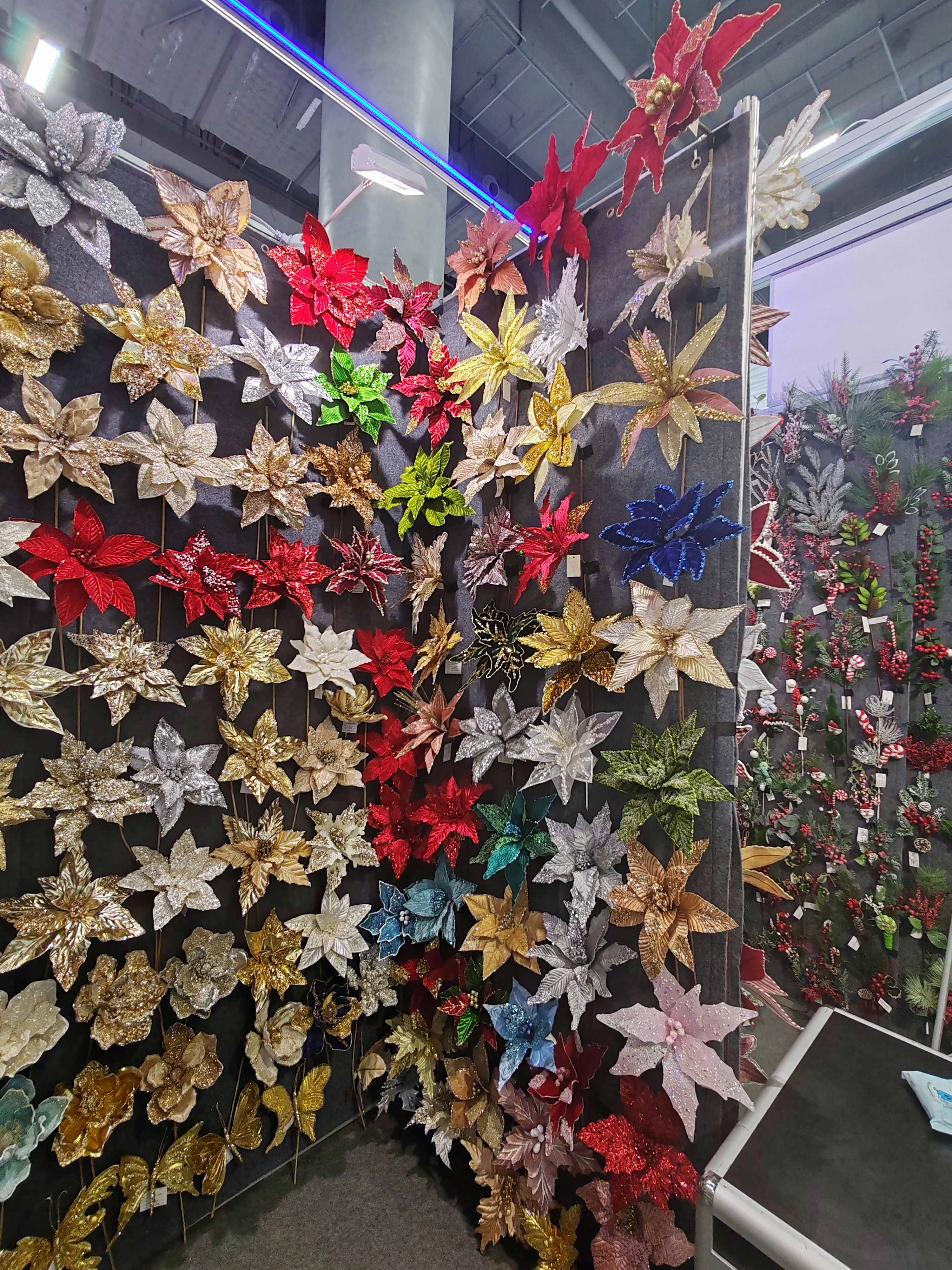 Exhibitions