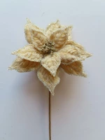 ST27243-1 GOLD