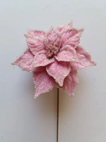 ST27243-1 PINK