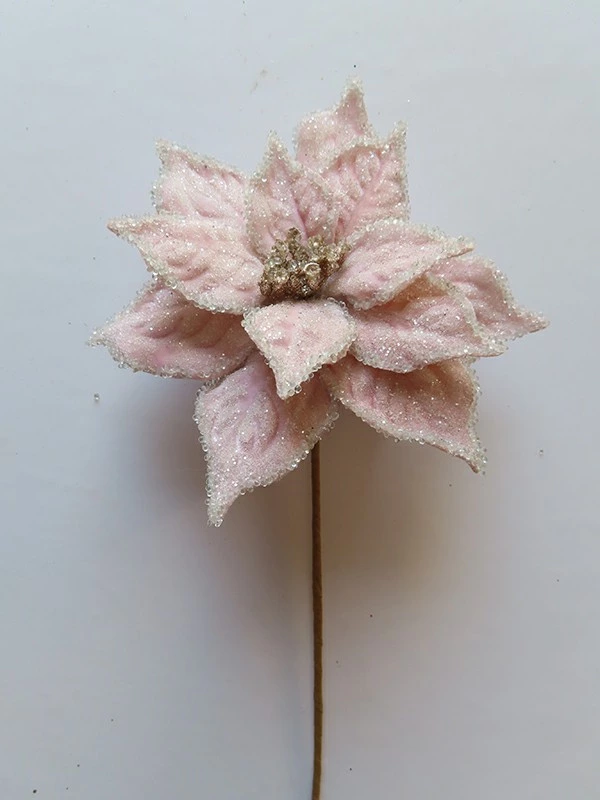 ST27243-1 ROSE GOLD