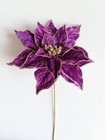 ST27244 2356C PURPLE
